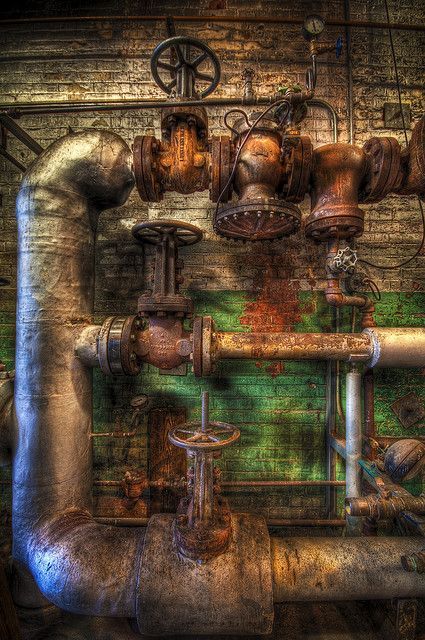 In the Old Boiler Room -   5 boiler planting Room
 ideas