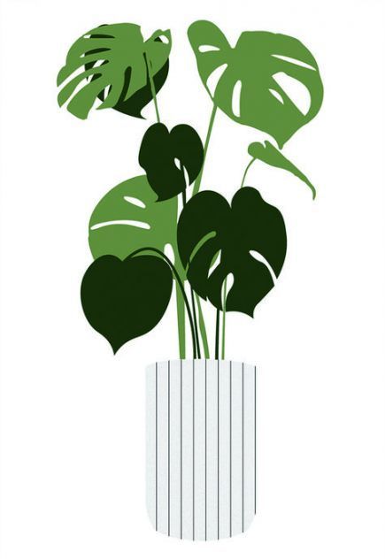 Best plants png interior rendering ideas -   10 plants Png interior rendering ideas