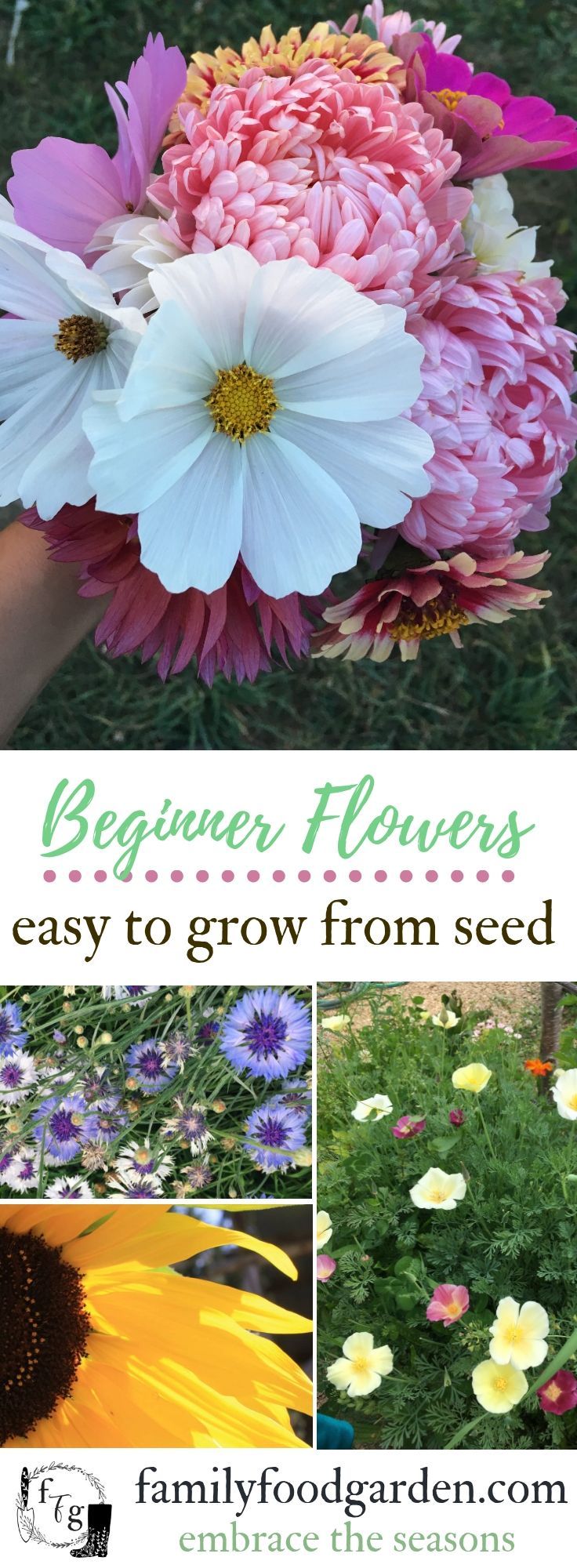 Easy Flowers to Grow from Seed -   11 garden design Easy plants ideas