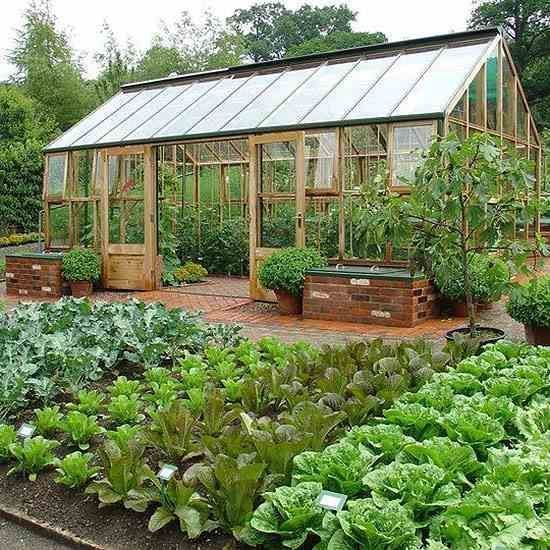 How to Plan a Bigger, Better Vegetable Garden -   11 garden design Slope driveways ideas