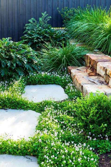 11 garden design Slope driveways ideas