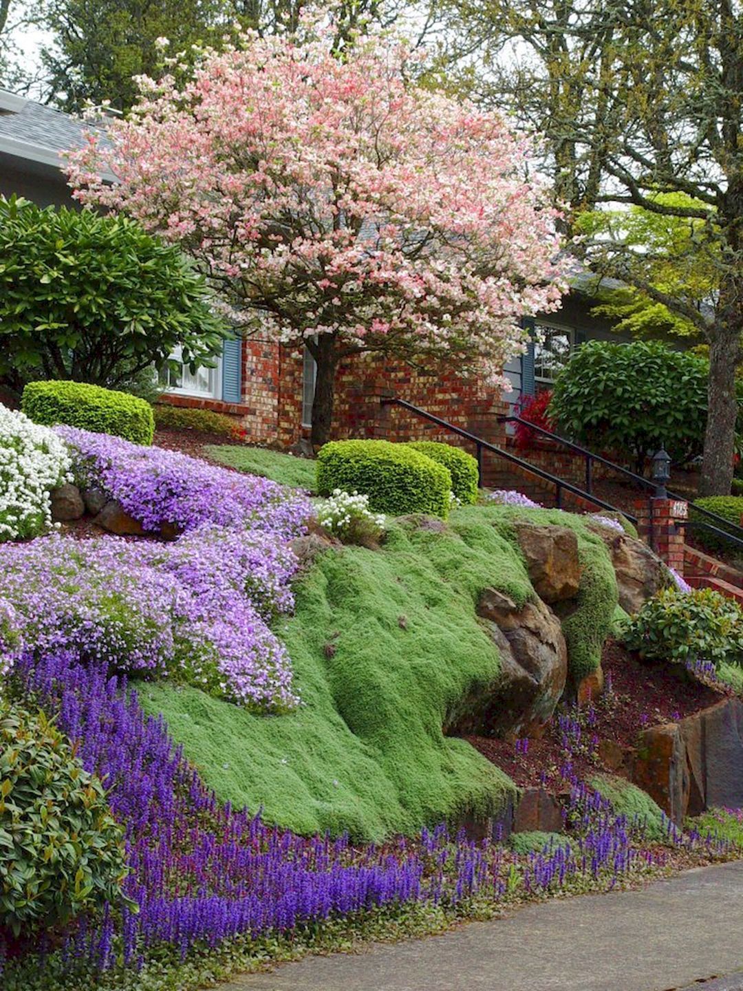 15 Best Ideas For Garden Plants With Low Maintenance -   11 garden design Slope driveways ideas
