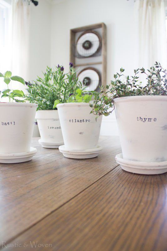46 Indoor Herb Garden Ideas That Will Inspire You to Start Planting -   13 garden design Inspiration indoor herbs ideas