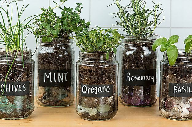 Herbs in Mason Jars -   13 garden design Inspiration indoor herbs ideas