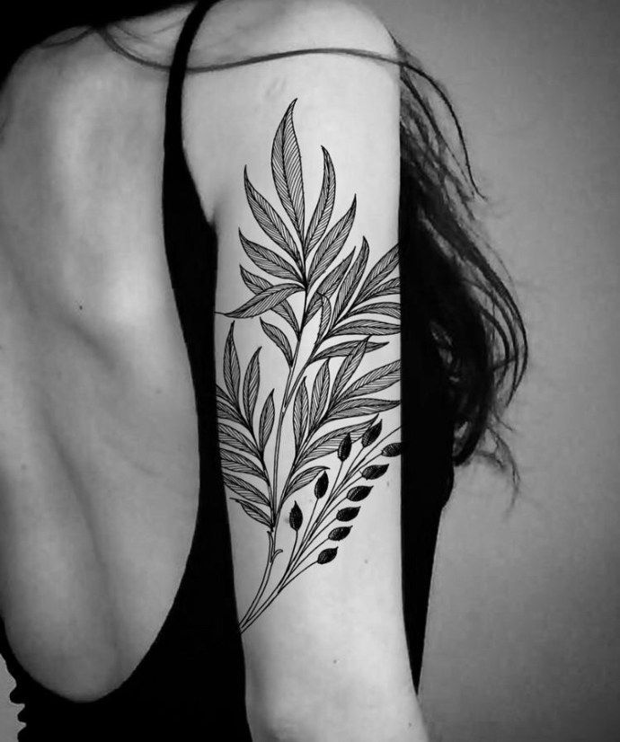 35 Plant Tattoo Ideas & Inspiration -   13 plants Tattoo back ideas