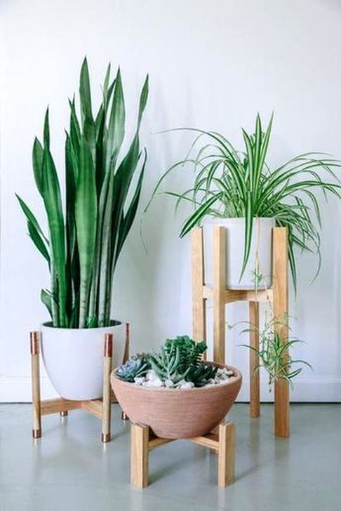 30+ Pretty Indoor Plants Design For Your Interior Home -   14 planting Room design ideas