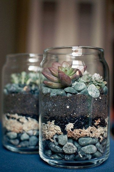 31 Unique and Creative Succulents in Glass Indoor Garden Ideas -   14 planting Room succulents ideas