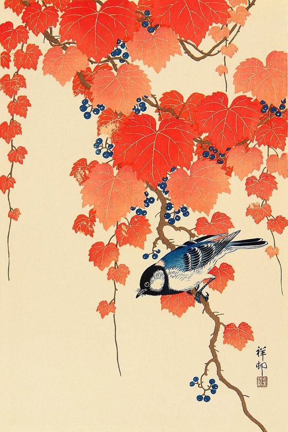 Japanese birds and flowers art prints, posters, Bird, Red Ivy Ohara Koson FINE ART PRINT, Japanese paintings, woodblock prints reproductions -   15 ivy planting Art ideas