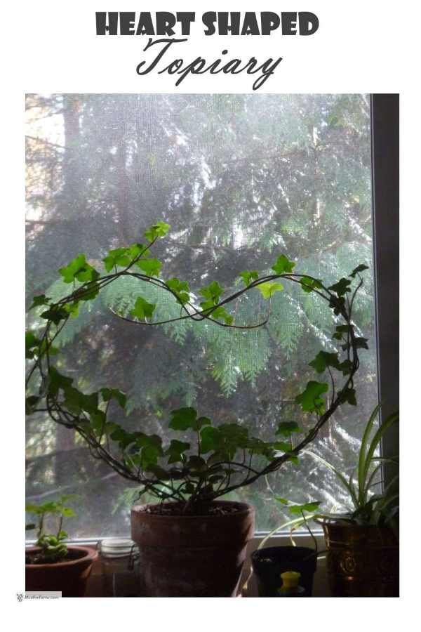 Heart Shaped Topiary - ivy, terracotta pots, and wire -   15 ivy planting Art ideas