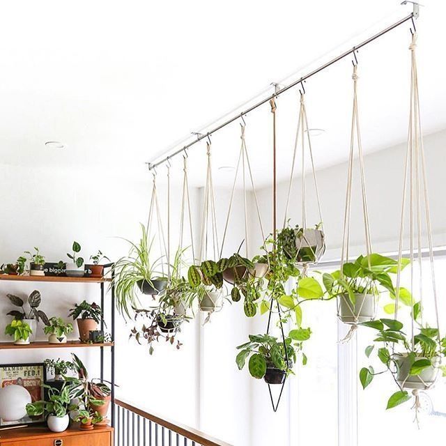43 Charming Hanging Plant Ideas -   15 planting decor ideas