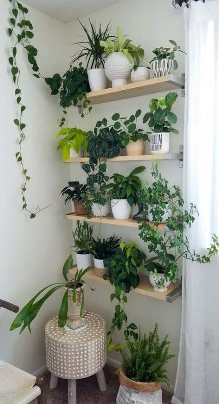 70+ Trendy Plants Indoor Design Interiors Shelves -   16 cute planting Room ideas