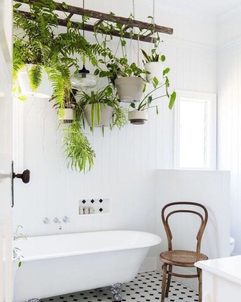 16 cute planting Room ideas