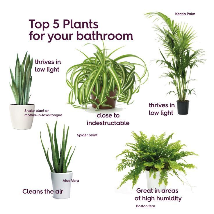 Gib umweltfreundlich -   16 cute planting Room ideas