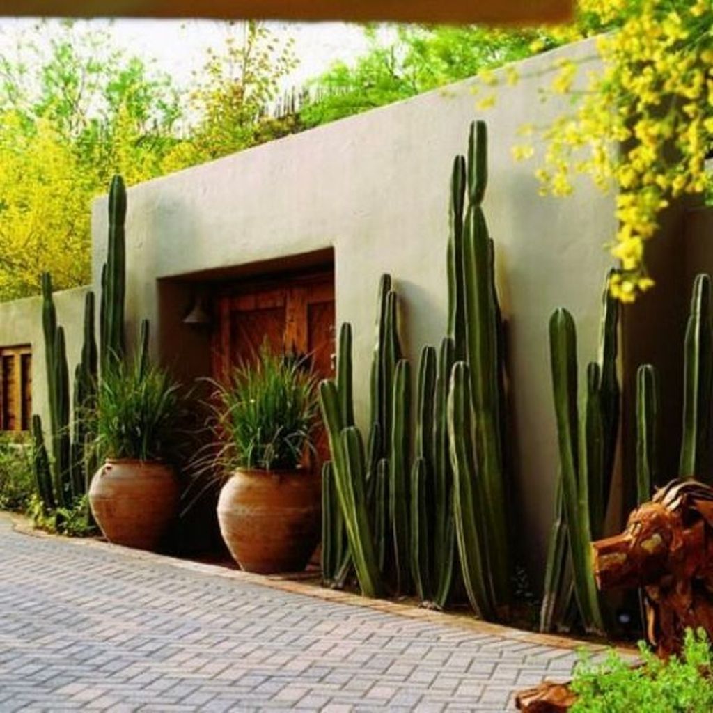 37 Fancy Cottage Garden Design Ideas For House -   16 garden design Luxury landscapes ideas