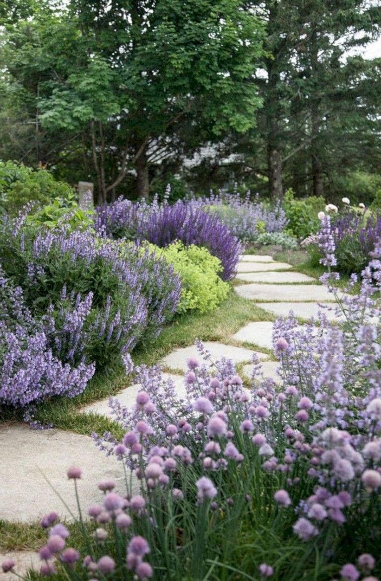 30 Gorgeous Garden Design Ideas You Need To See -   16 garden design Luxury landscapes ideas