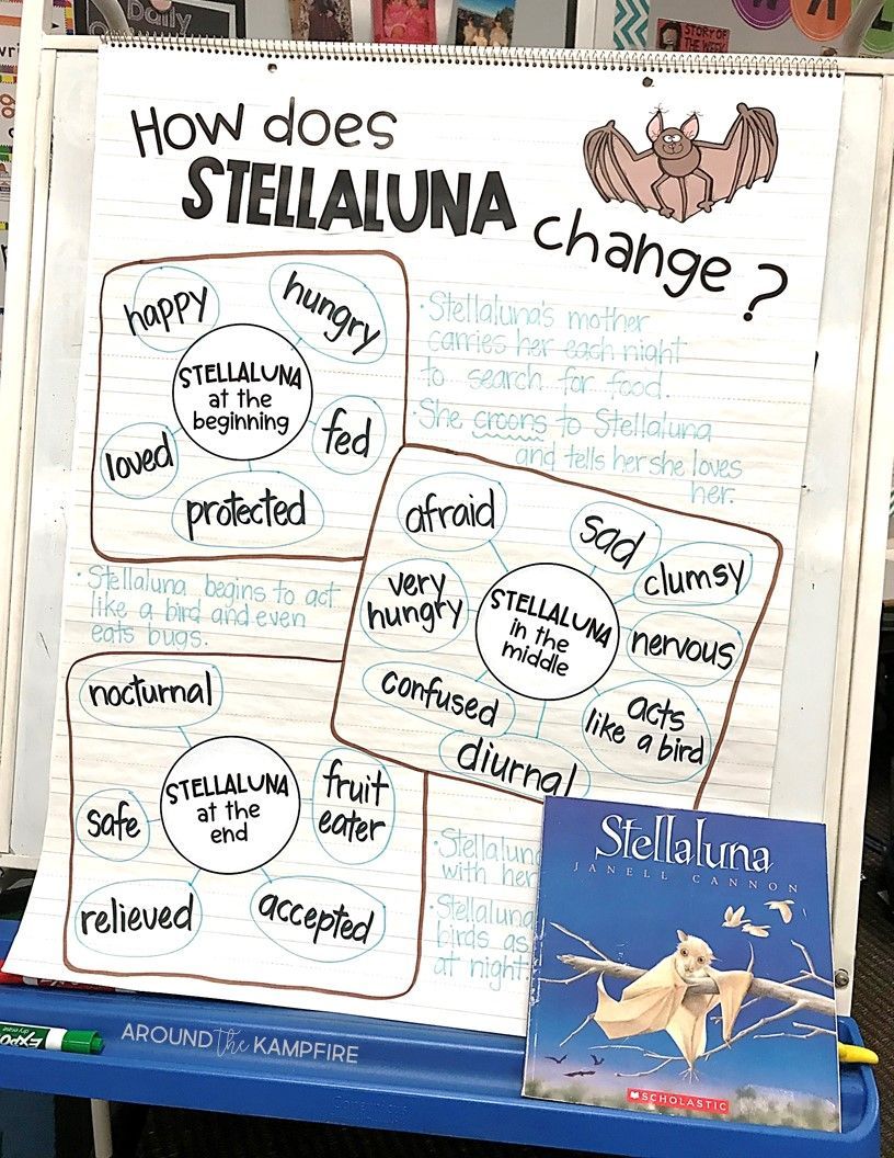 Teaching with Stellaluna: Turning Readers Into Comprehenders -   16 holiday Around The World anchor chart ideas