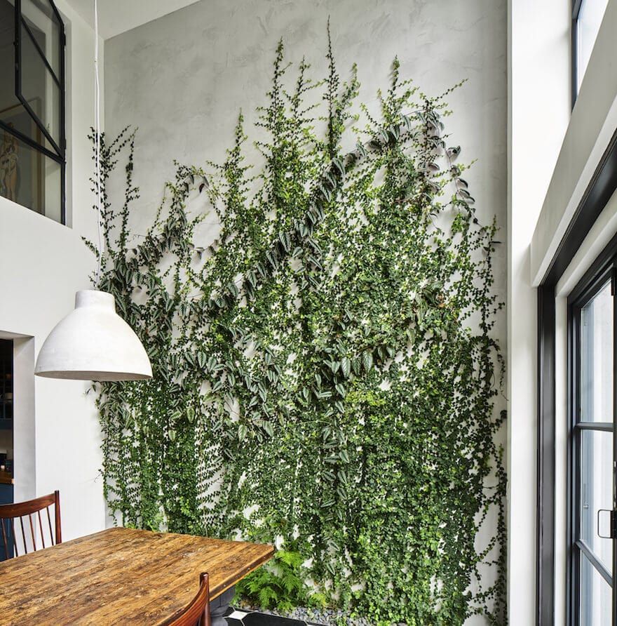 5 Gorgeous Indoor Vines To Grow In Your Home -   16 planting Interior vines ideas