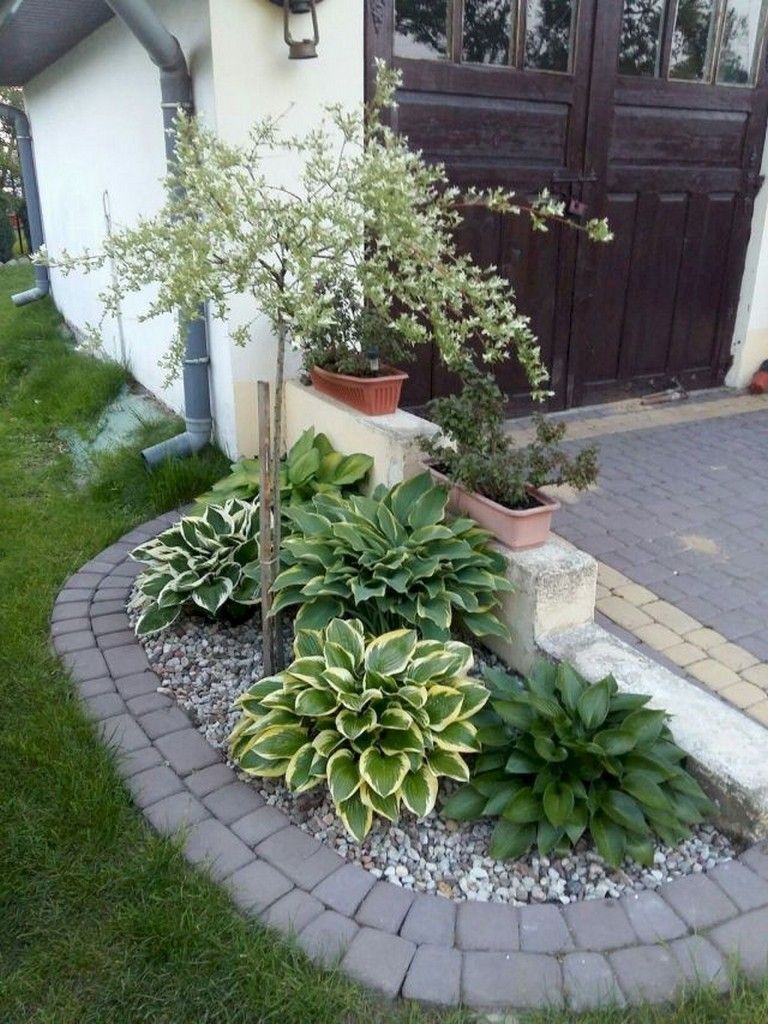 16 plants Decoration front yards ideas