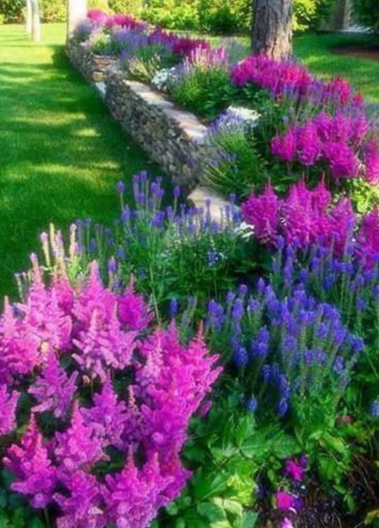 48 Amazing Front Yard Design with Beautiful Plant -   16 plants Decoration front yards ideas