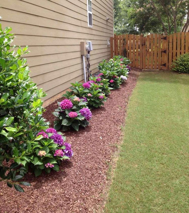 65 Best Front Yard Landscaping Ideas -   16 plants Decoration front yards ideas