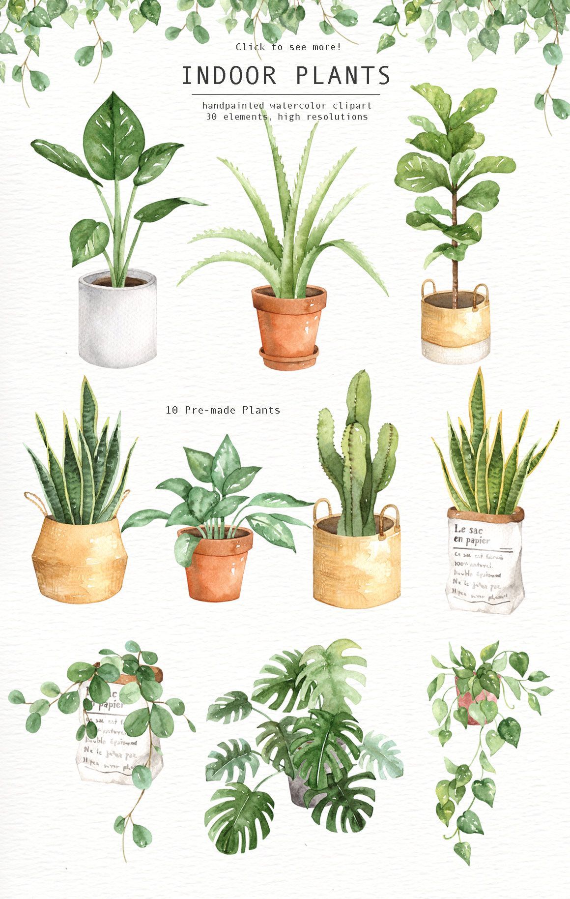16 plants Flowers drawing ideas