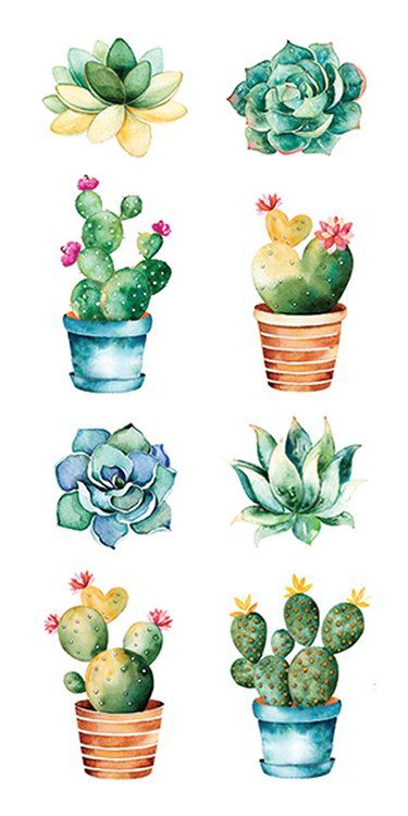 Paper House Productions Succulents Stickers -   17 indoor plants Watercolor ideas