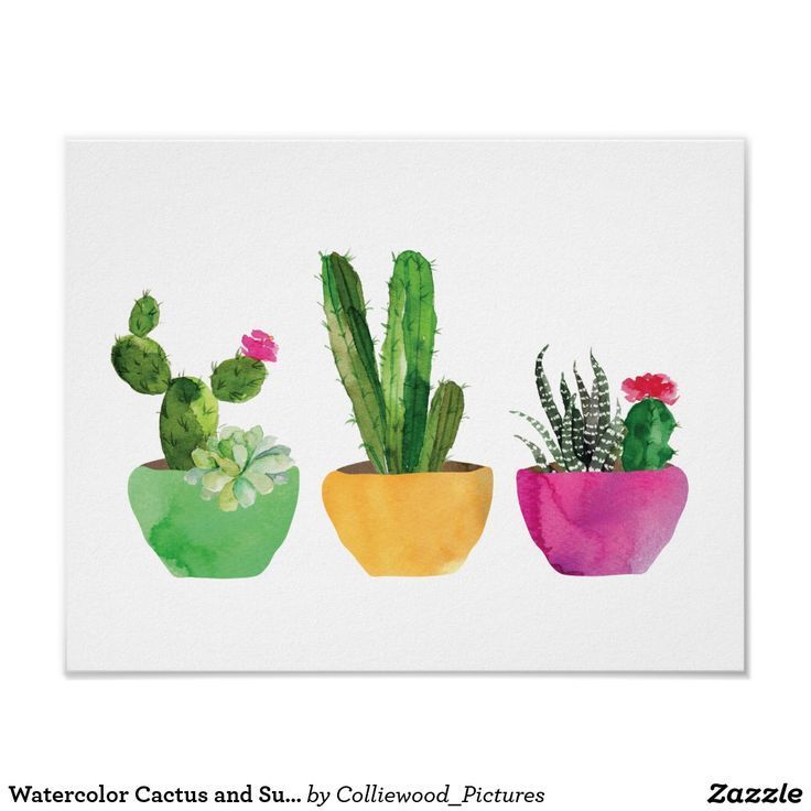 Watercolor Cactus and Succulent Print | Zazzle.com -   17 indoor plants Watercolor ideas