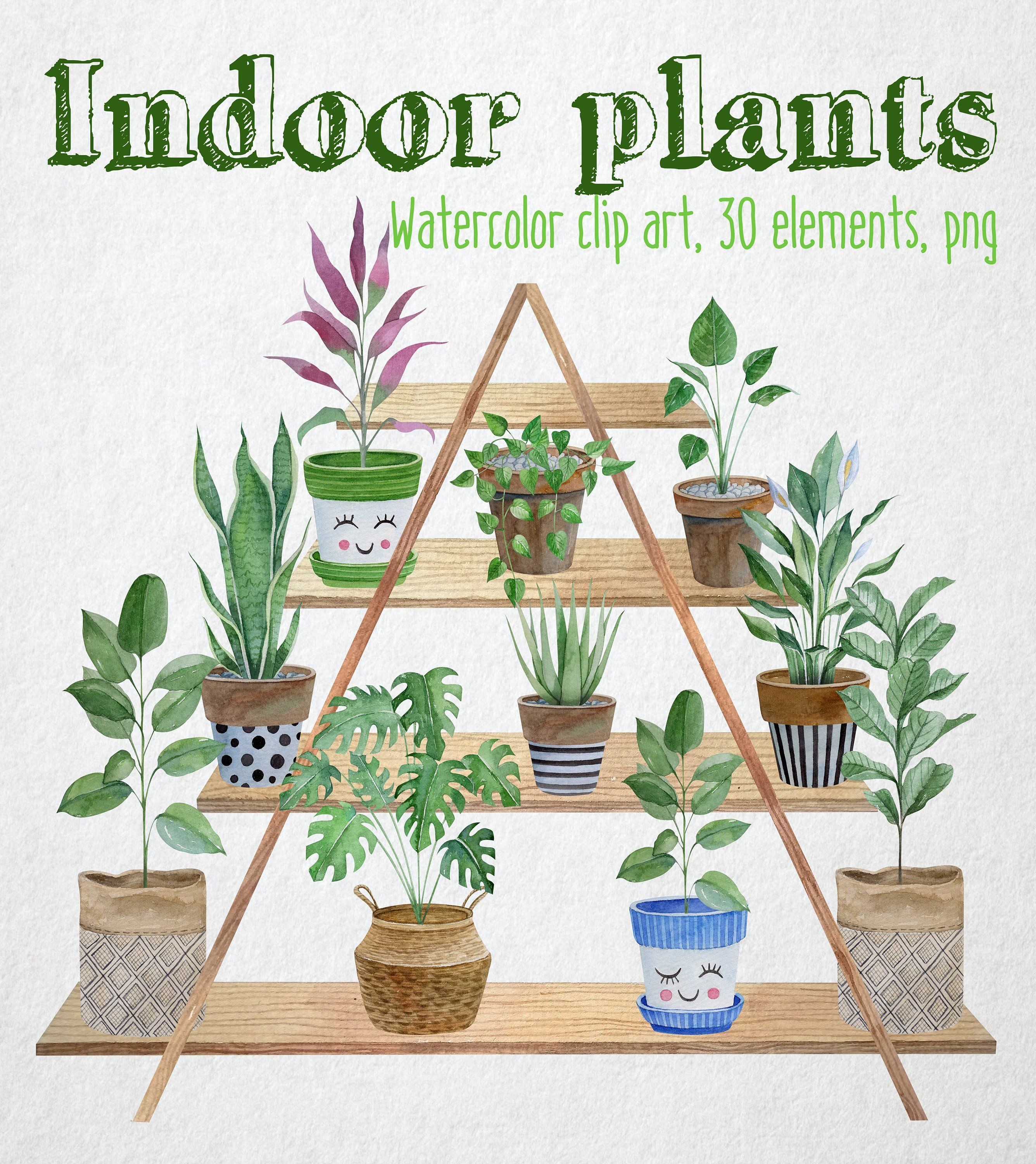 Indoor Plants watercolor clipart. Potted plants illustration. Watercolor house plants in ceramic pots -   17 indoor plants Watercolor ideas