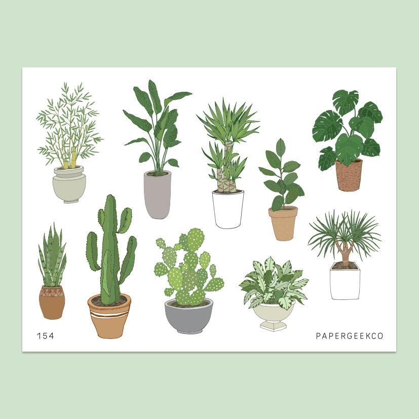 Indoor Plants Stickers vol.2 - 154 -   17 indoor plants Watercolor ideas