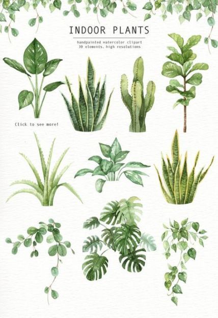 Best Plants Watercolor Indoor 64+ Ideas -   17 indoor plants Watercolor ideas