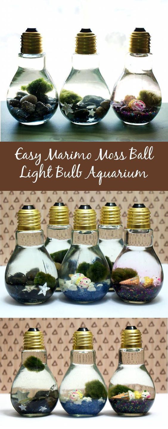 Easy DIY Light Bulb Aquarium -   18 diy projects Easy creative ideas