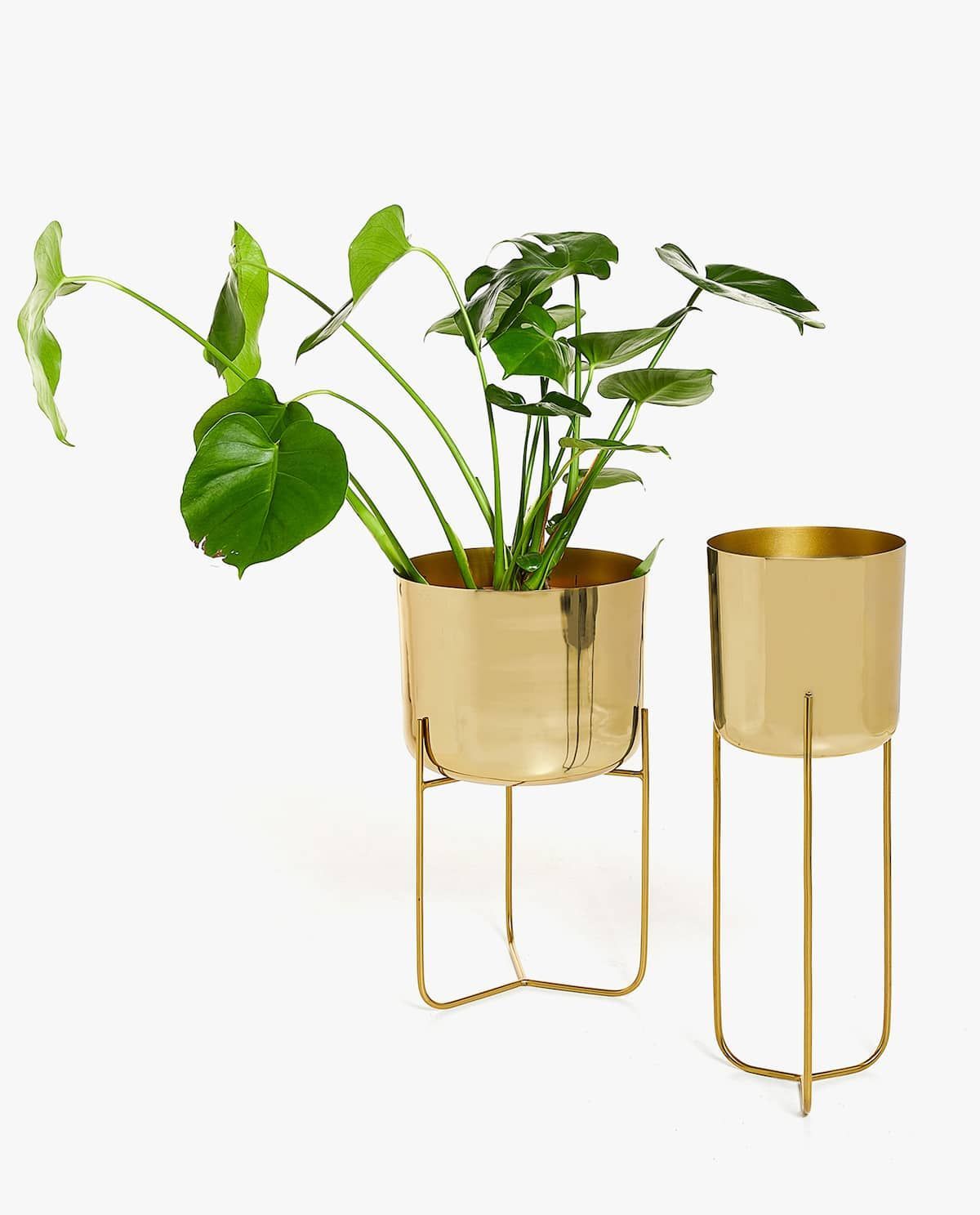 Gold iron flowerpot -   18 planting Decoration inspiration ideas