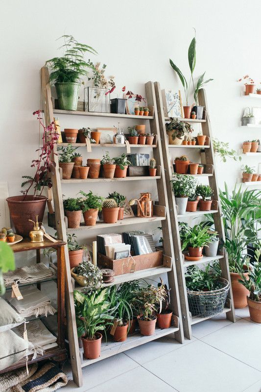 These Are the Prettiest Plant Shops In the World -   18 planting Decoration inspiration ideas