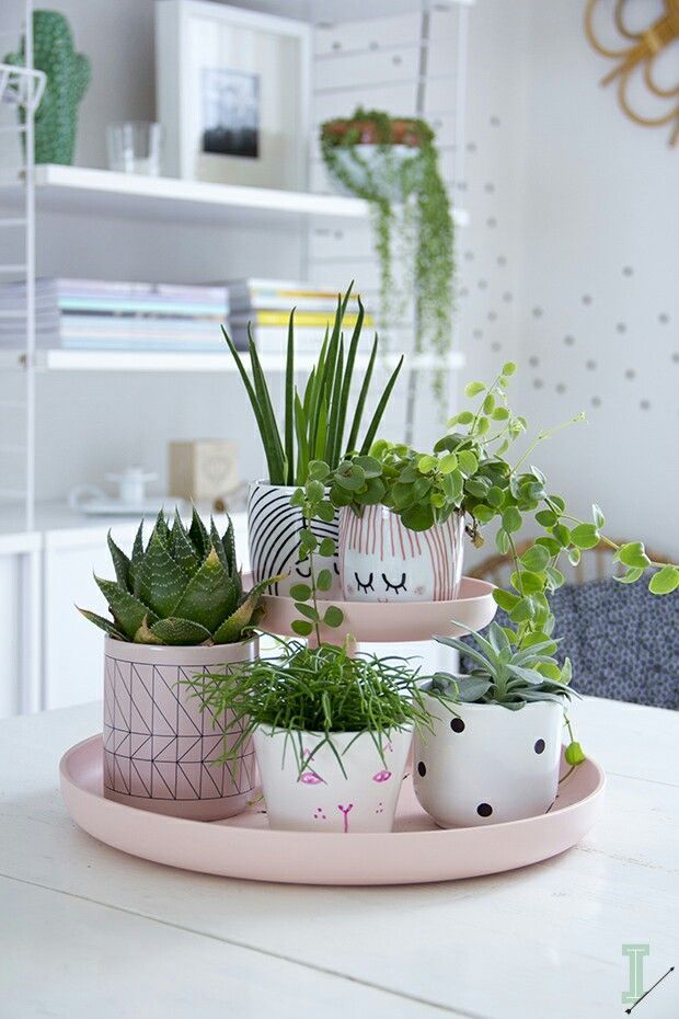 7 More Ways to Make a Small Room Look Bigger -   18 planting Decoration inspiration ideas