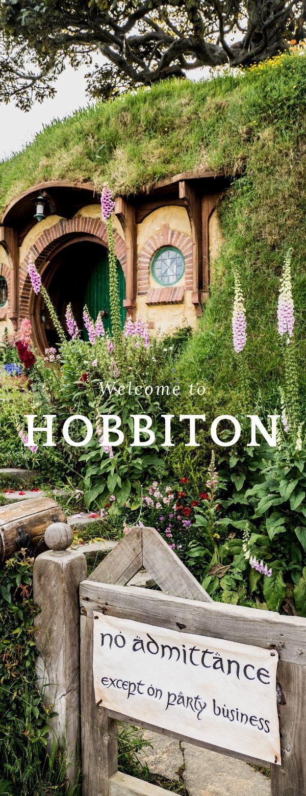 How to Visit the Hobbiton Movie Location in New Zealand -   18 travel destinations New Zealand cities ideas