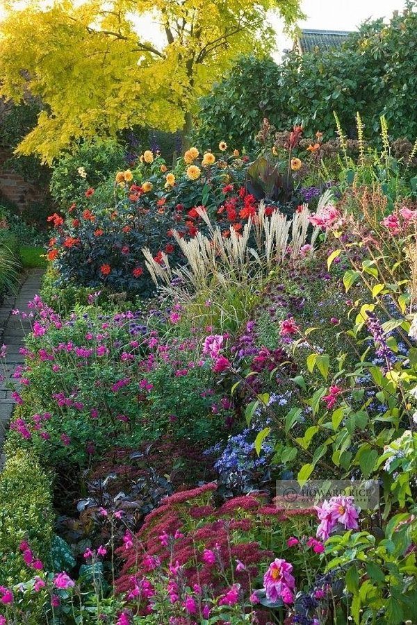 The Best Perennial Plants for Cottage Gardens -   19 garden design Architecture beautiful ideas