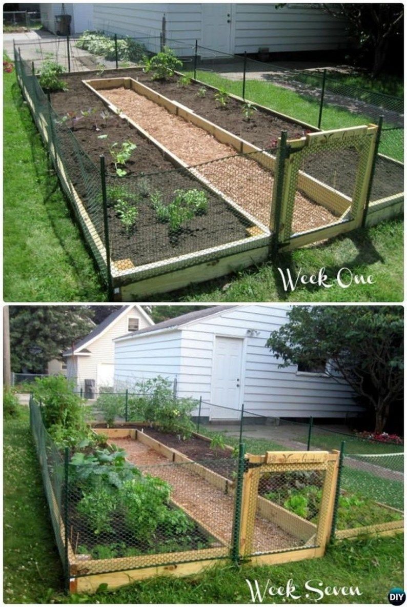 88 Fabulous Backyard Vegetable Garden Design Ideas -   19 garden design Vegetable fence ideas