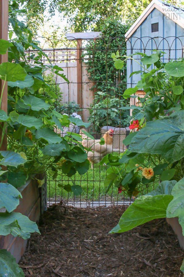 These Garden Fence Ideas Are Both Practical and Pretty -   19 garden design Vegetable fence ideas