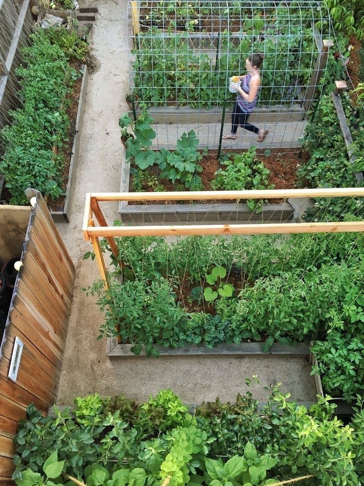 вњ” 39 interesting vegetable garden design ideas for your backyard ideas 25 -   19 garden design Vegetable fence ideas