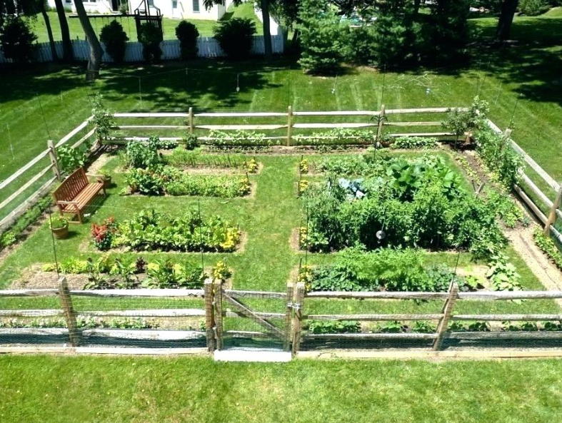 13+ Easy and Aesthetically Appealing Garden Fence Ideas -   19 garden design Vegetable fence ideas