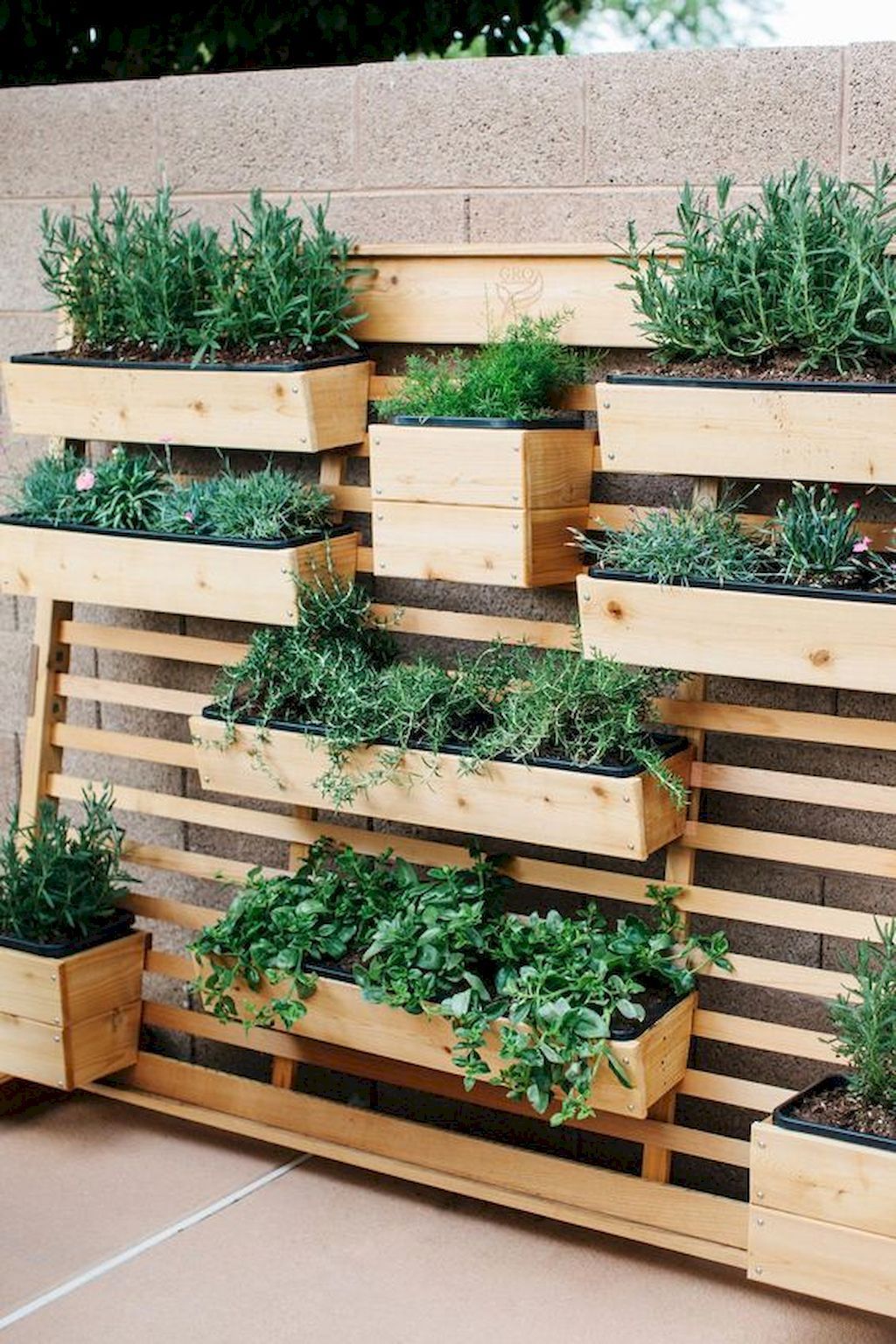 50 Most Productive Small Vegetable Garden Ideas for Small Space -   19 garden design Wall plants ideas