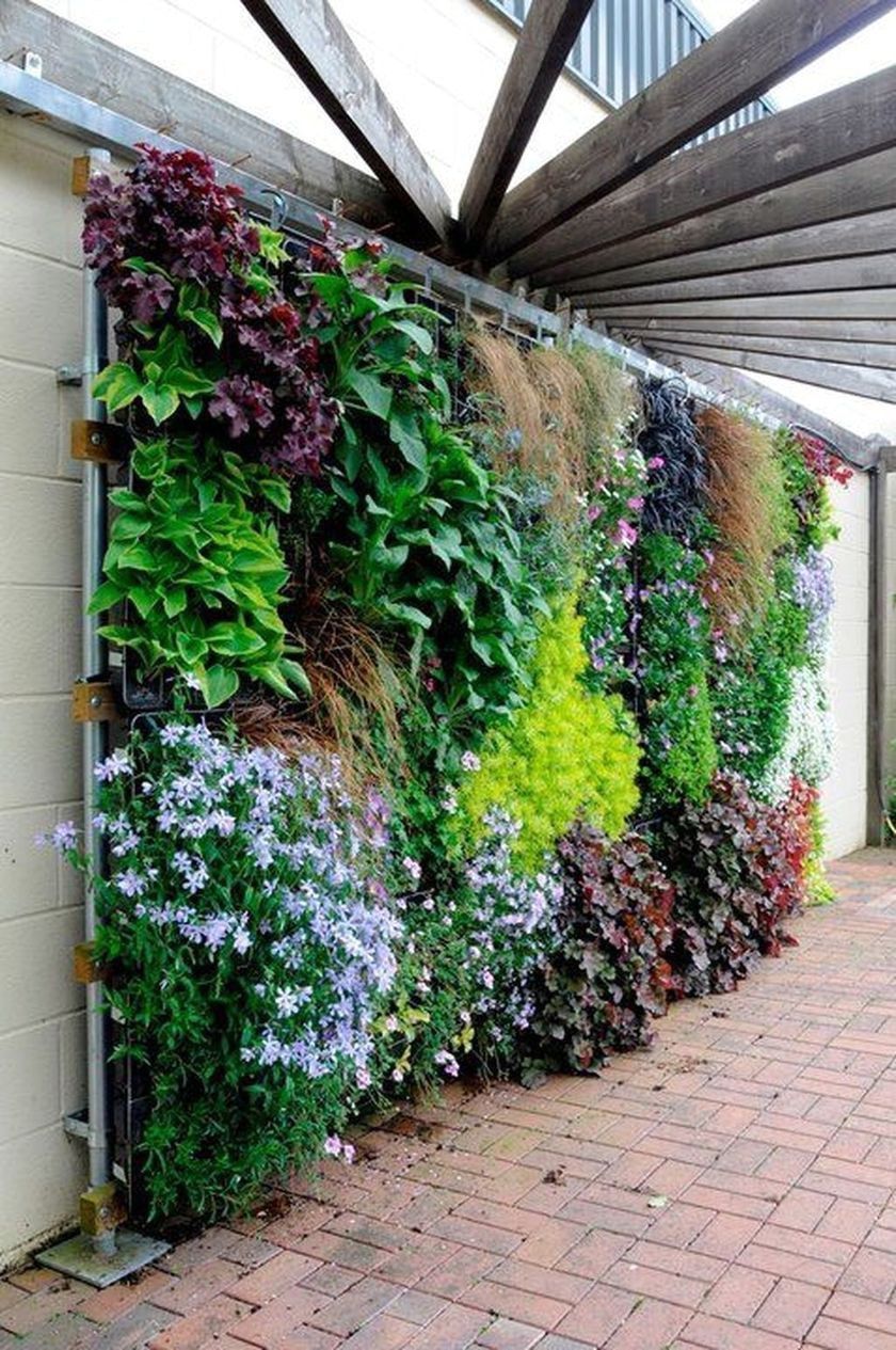 19 garden design Wall plants ideas