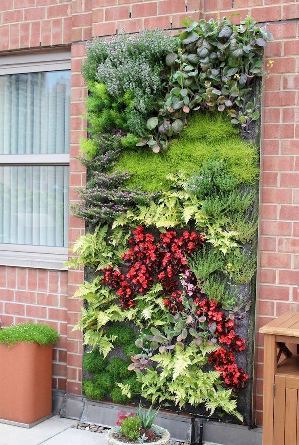 19 garden design Wall plants ideas