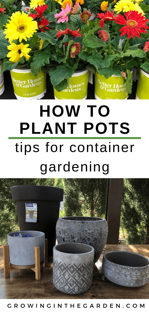 How to Plant Pots - Tips for Container Gardening -   21 plants Potted tips ideas