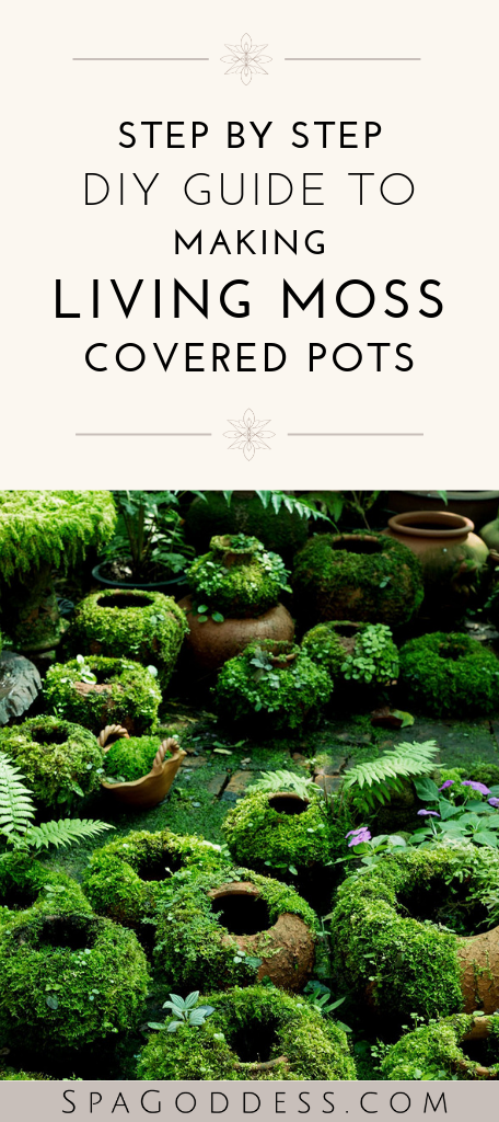 Make DIY Moss Covered Pots With Living Paint -   21 plants Potted tips ideas
