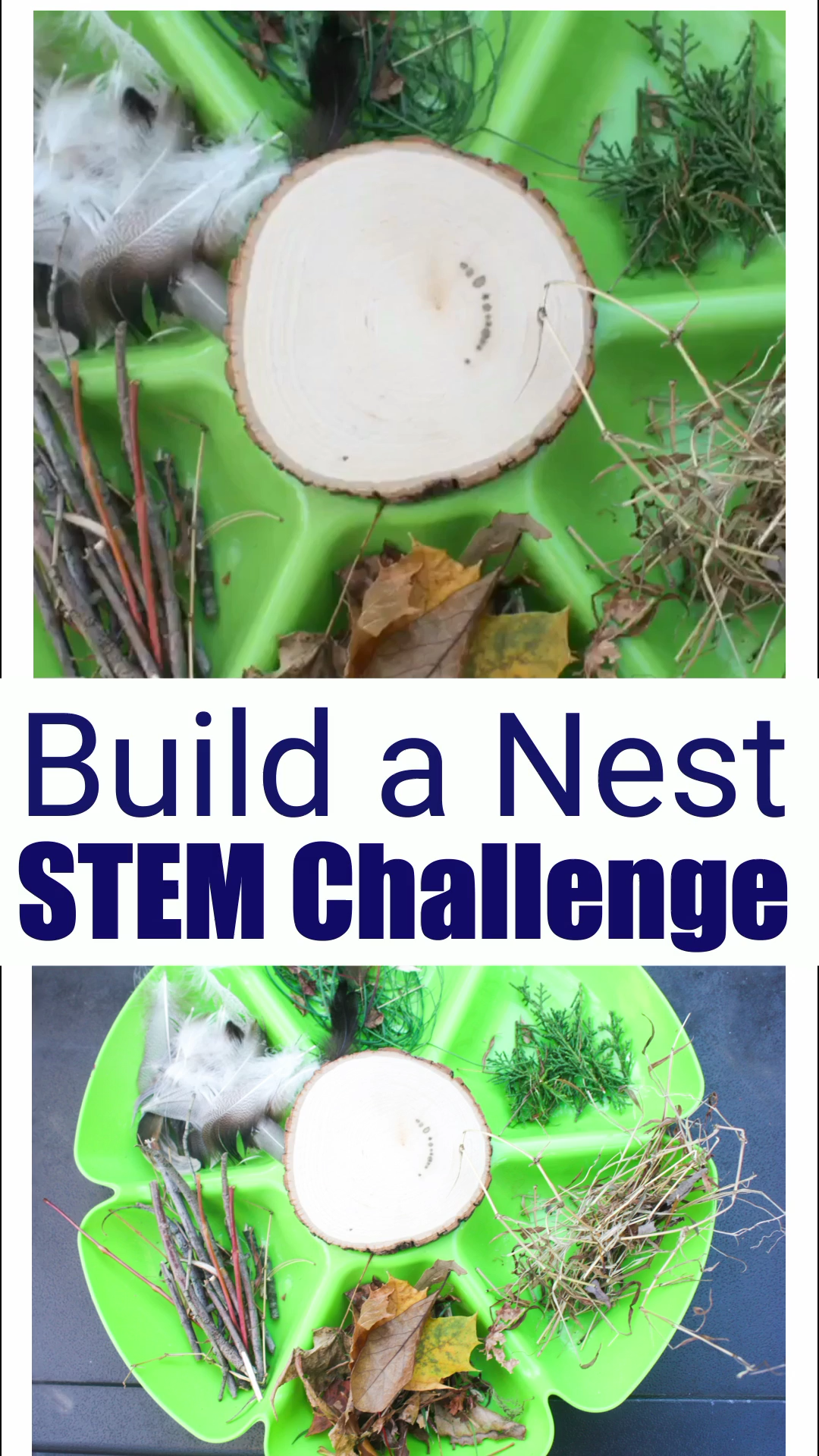 Build a Nest STEM Challenge -   25 planting Kindergarten video ideas