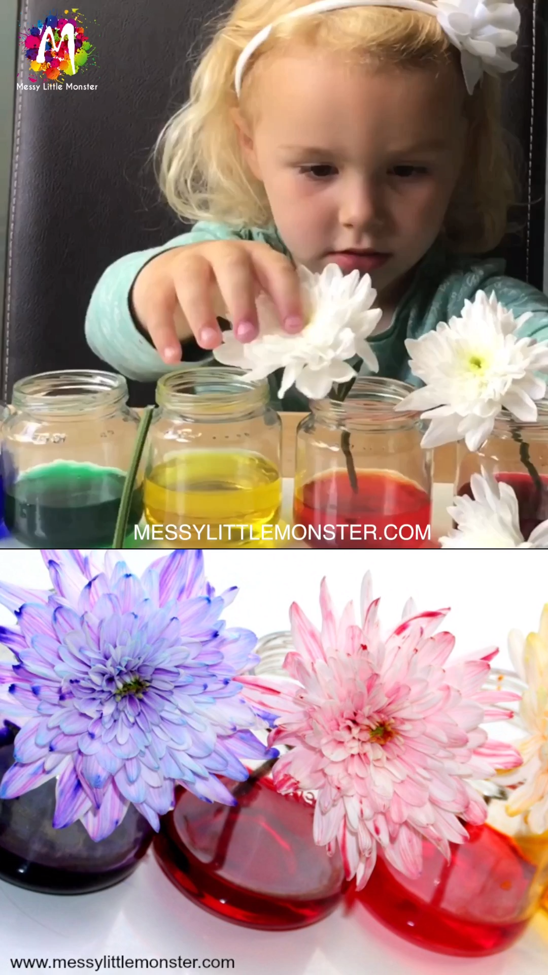 Colour Changing Flowers Science experiment -   25 planting Kindergarten video ideas
