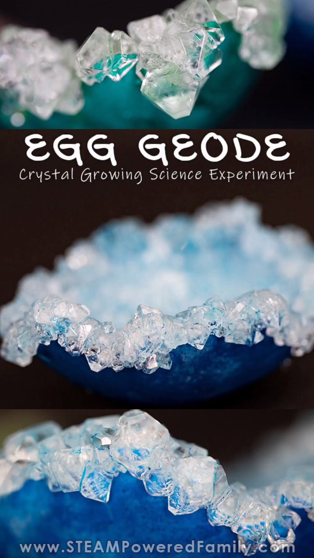 Growing Crystals Egg Geode Science Experiment -   25 planting Kindergarten video ideas