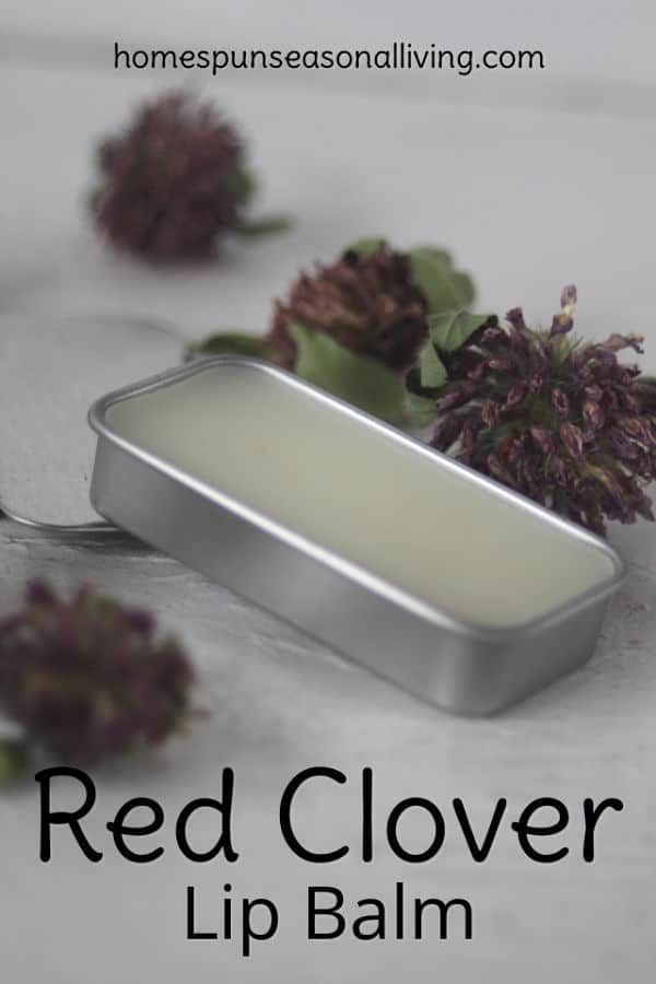 Red Clover Lip Balm -   9 skin care Ads makeup artists ideas