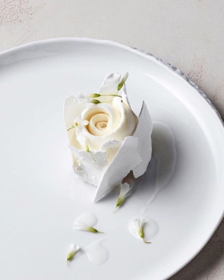 White on white on white. Loving this delicate rose cake for a played dessert! -   10 desserts Plating fine dining ideas